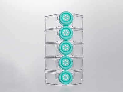 0.22μm疏水濾膜蓋，通氣阻水，高效阻菌；