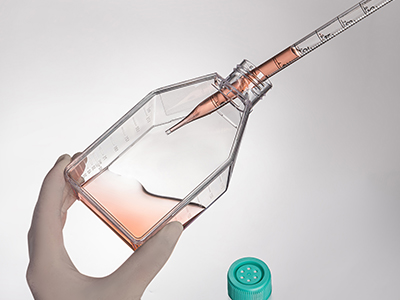 斜頸設(shè)計，易于傾倒，方便移 液管和細(xì)胞刮刀的進(jìn)出