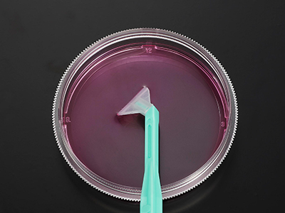 可自由旋轉(zhuǎn)刀片，能刮取各個(gè)角落，收獲細(xì)胞