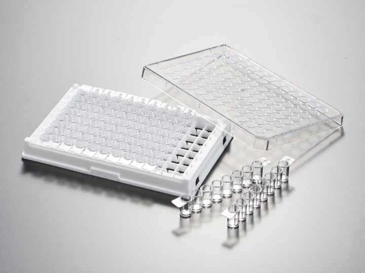 內(nèi)頁720×540 拷貝2.jpg