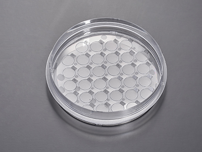 單次細(xì)胞培養(yǎng)可制備多種不同實驗和檢測目的的細(xì)胞爬片，提高工作效率