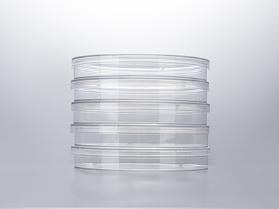 培養(yǎng)皿蓋外邊緣凸起，保證疊放穩(wěn)定；