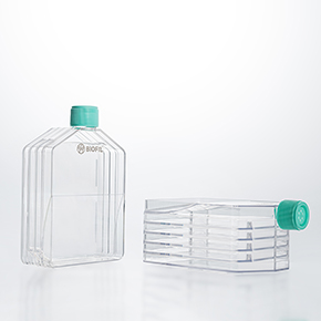 多層細(xì)胞培養(yǎng)瓶,多層培養(yǎng)瓶,三層培養(yǎng)瓶,五層培養(yǎng)瓶