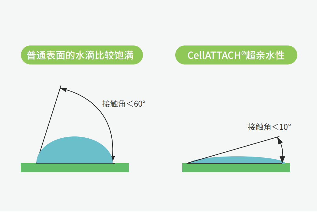 獨(dú)特的超親水表面處理技術(shù)，能為細(xì)胞提供更好的吸附性，促進(jìn)細(xì)胞快速貼壁生長，提高產(chǎn)量