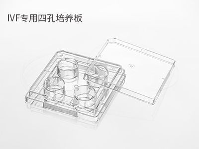 胚胎冷凍/解凍；胚胎體外培養(yǎng)