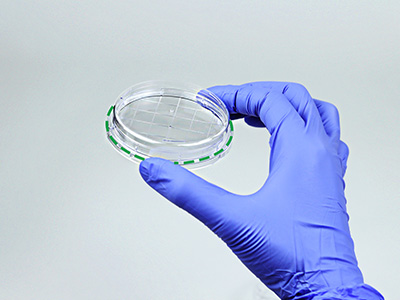 皿底抬高與邊緣持握設(shè)計(jì)， 方便握取與操作，穩(wěn)定疊放不易倒